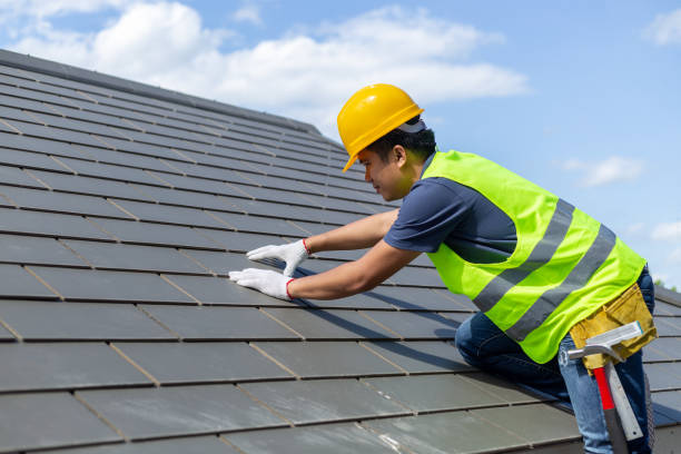 Best Roof Leak Repair  in Robersonville, NC