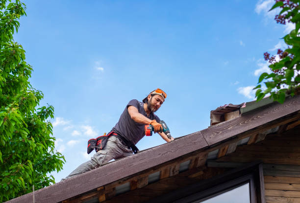 Best Gutter Installation and Repair  in Robersonville, NC