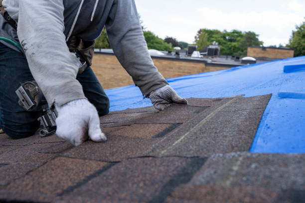 Best Rubber Roofing (EPDM, TPO)  in Robersonville, NC