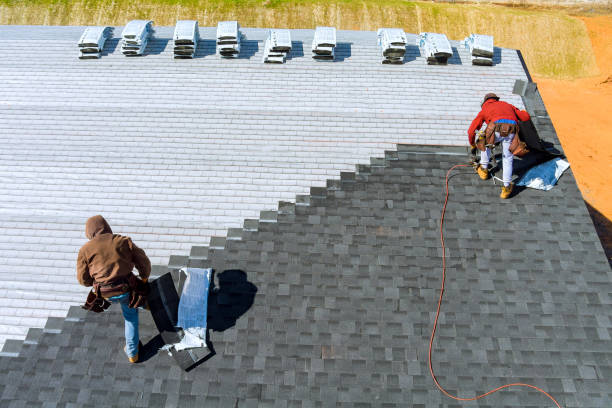 Best Roof Insulation Installation  in Robersonville, NC