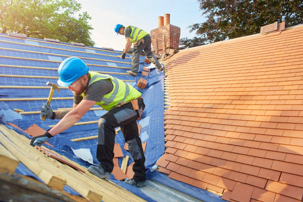 Best Roof Maintenance and Cleaning  in Robersonville, NC